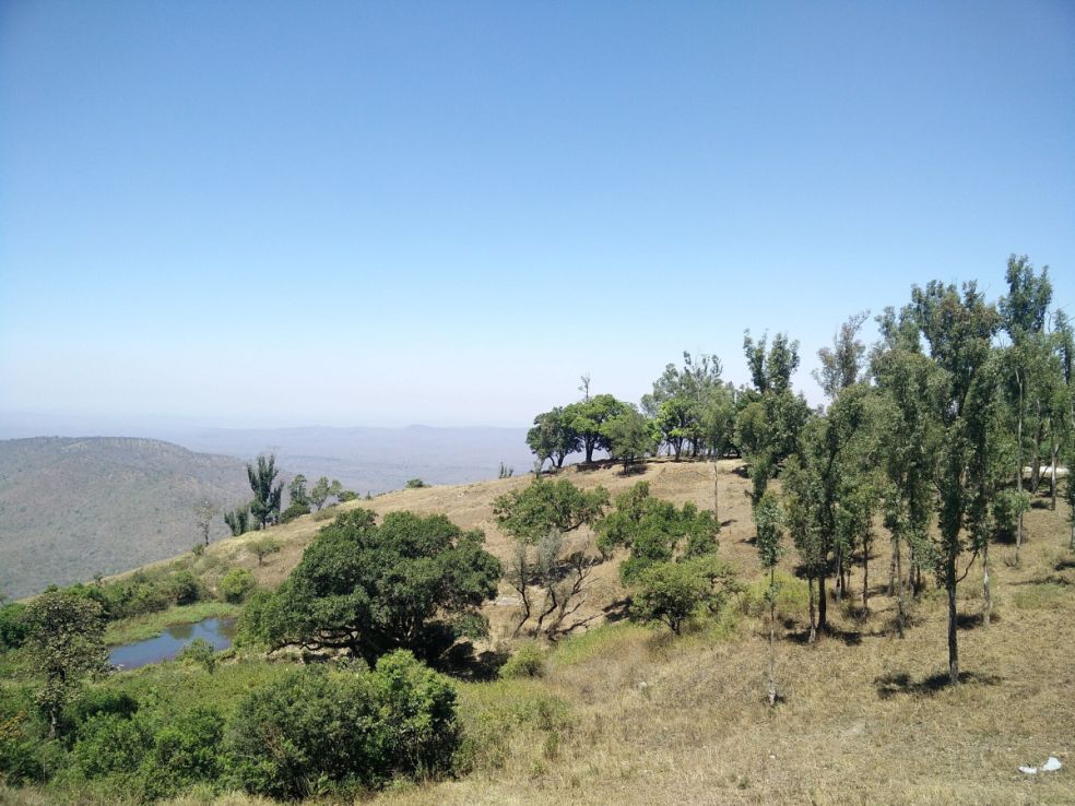 Gopalaswamy Betta, Bandipur