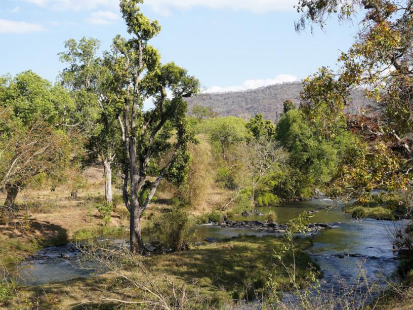 Moyar River, Bandipur