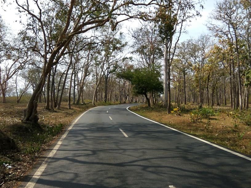Bandipur forest road, Bandipur