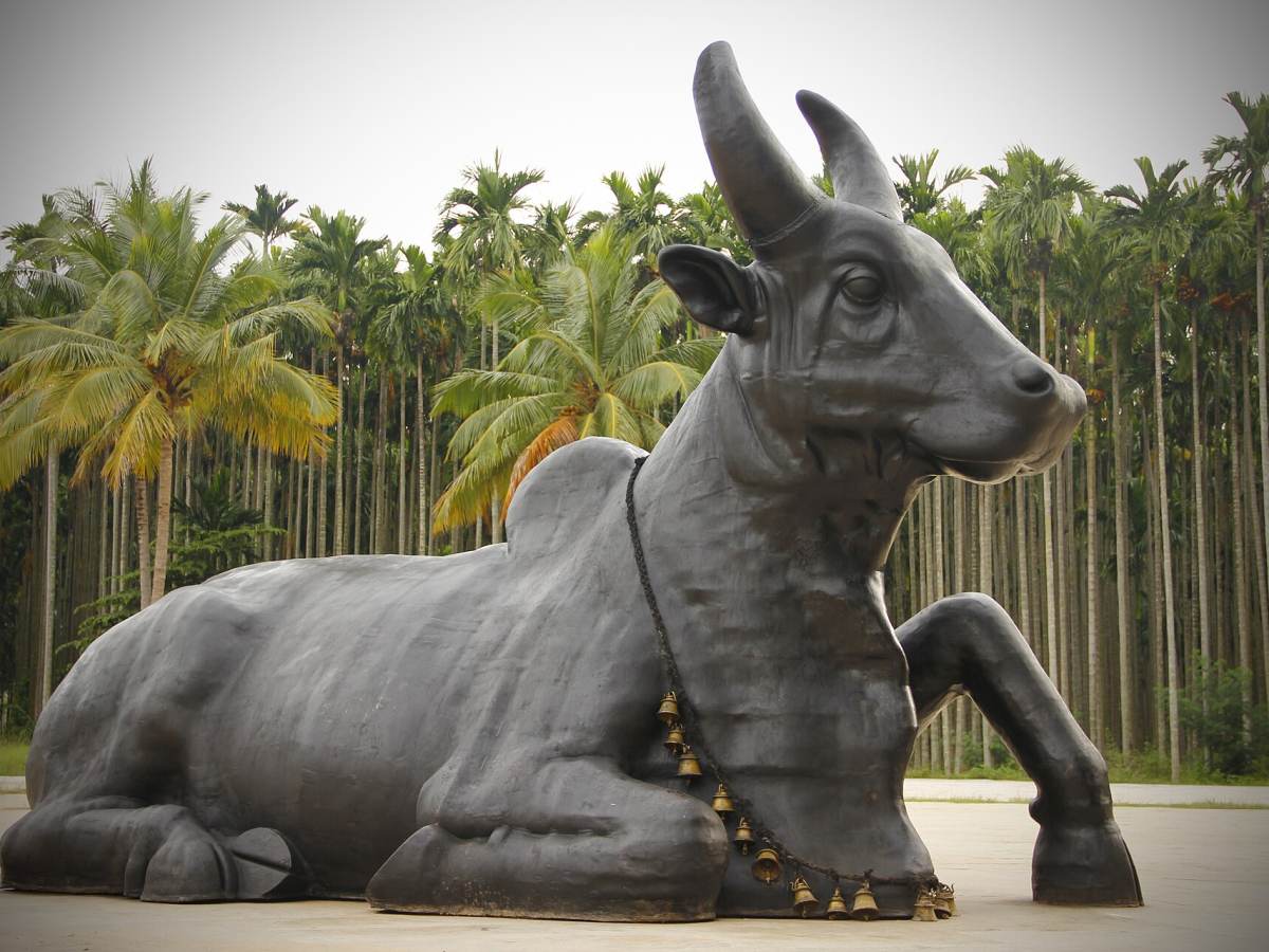 Isha Yoga Center, Coimbatore