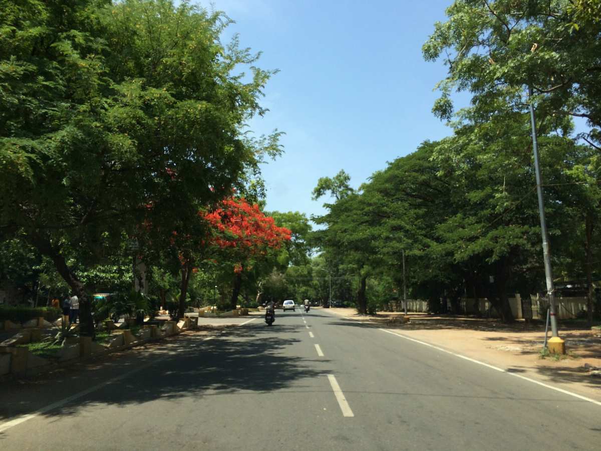 Coimbatore Race Course Road, Coimbatore