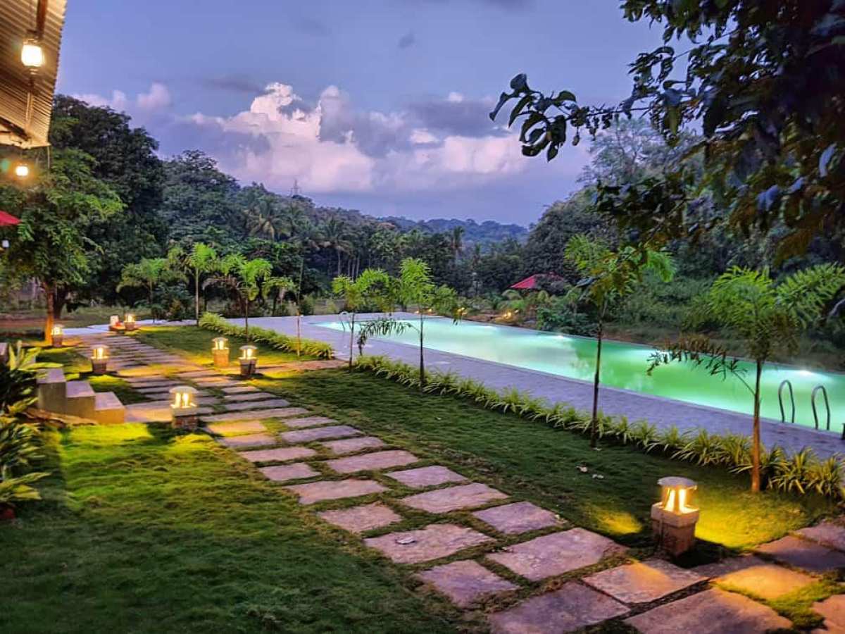 Dandeli