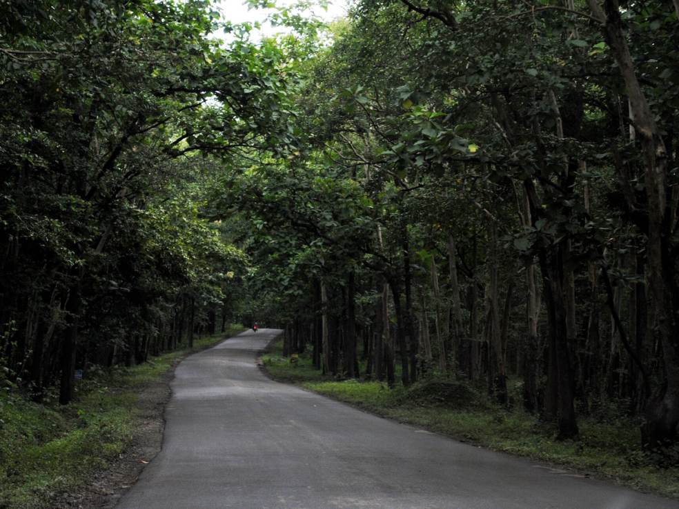 Kali Tiger Reserve, Dandeli