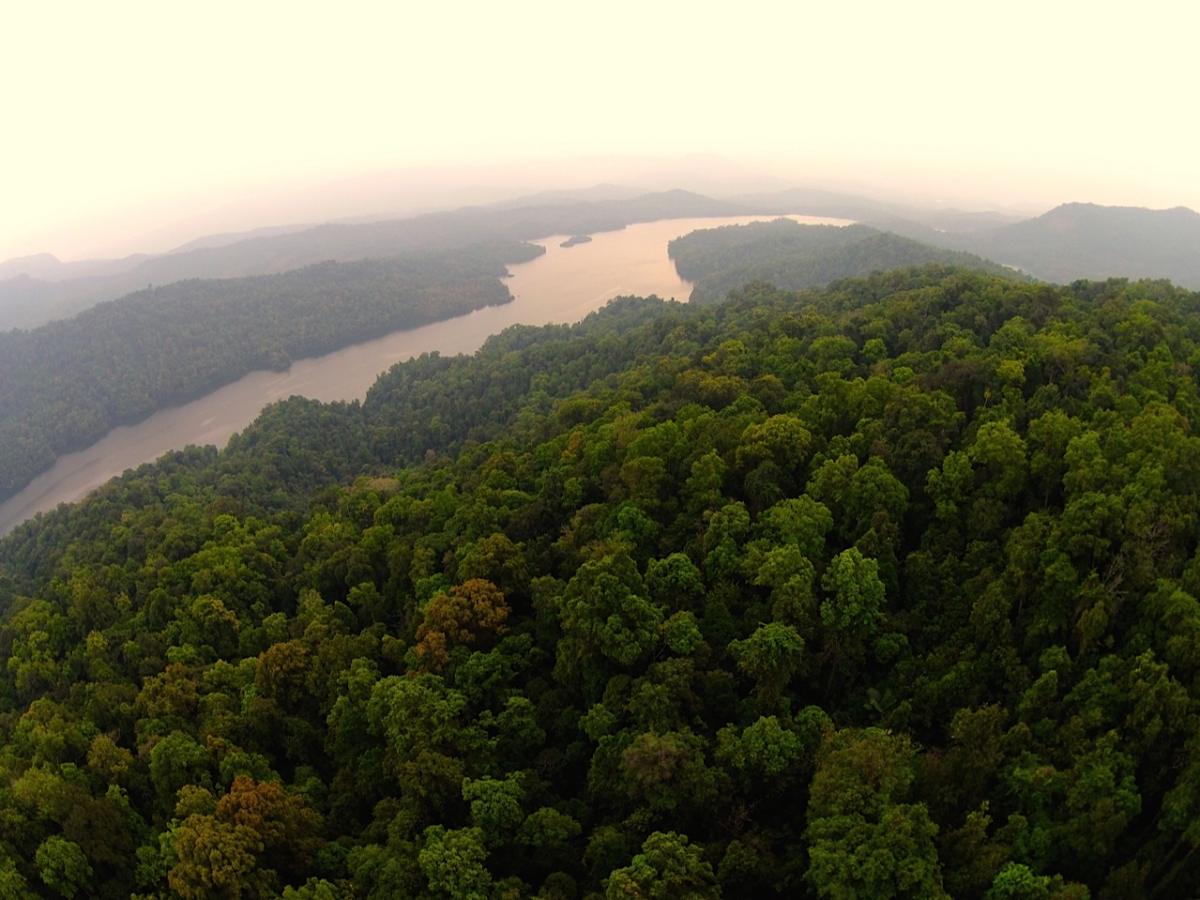 Sharavathi Valley, Jog Falls