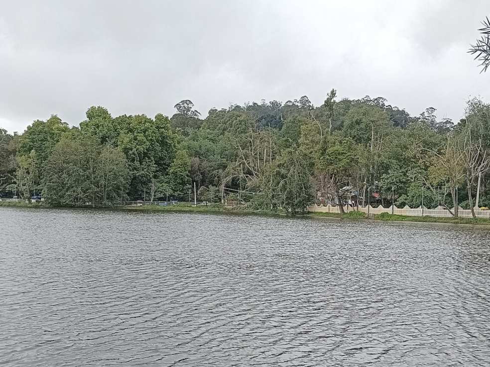 Kodaikanal Lake, Kodaikanal