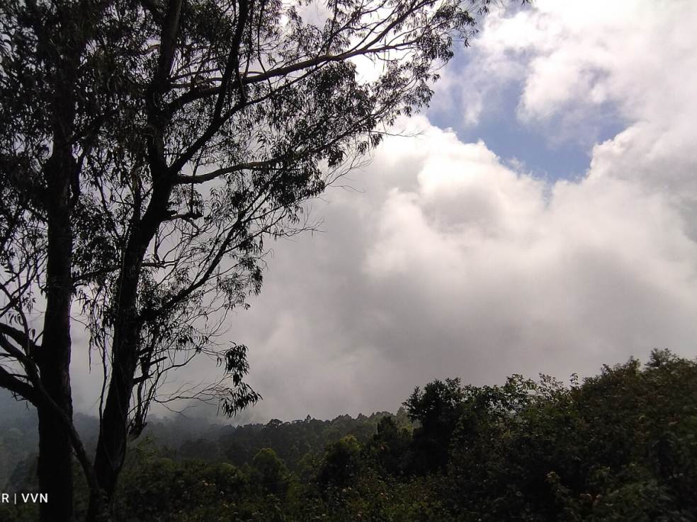 Coakers Walk, Kodaikanal