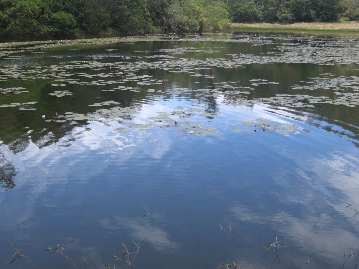 Berijam Lake, Kodaikanal