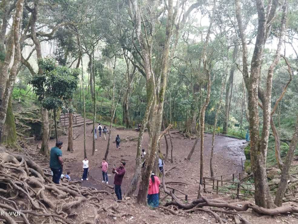 Guna Caves, Kodaikanal