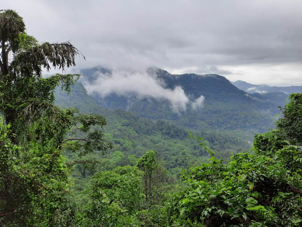 Mookambika Wildlife Sanctuary, Kollur Mookambika