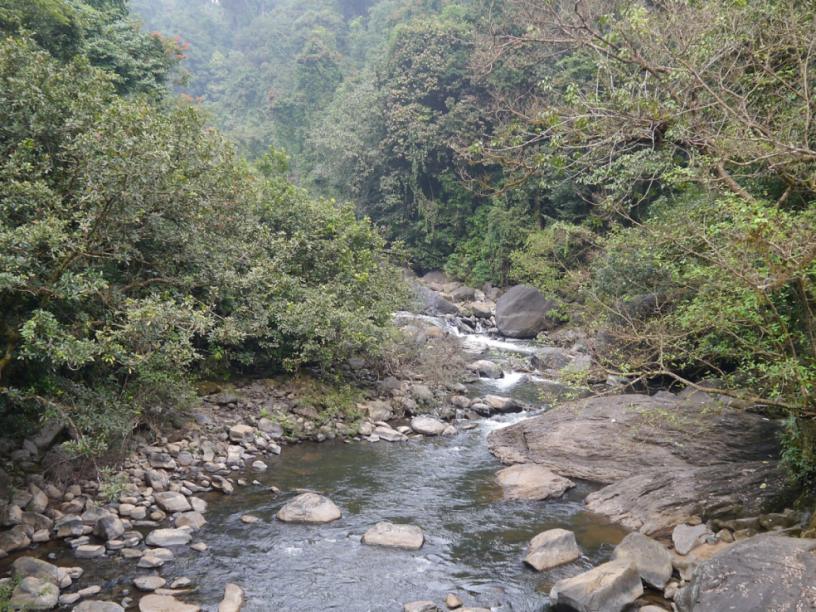 Kumaradhara River, Kukke Subrahmanya