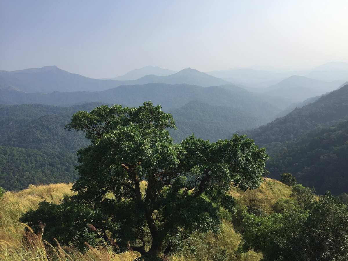 Western Ghats Dakshina Kannada, Kukke Subrahmanya