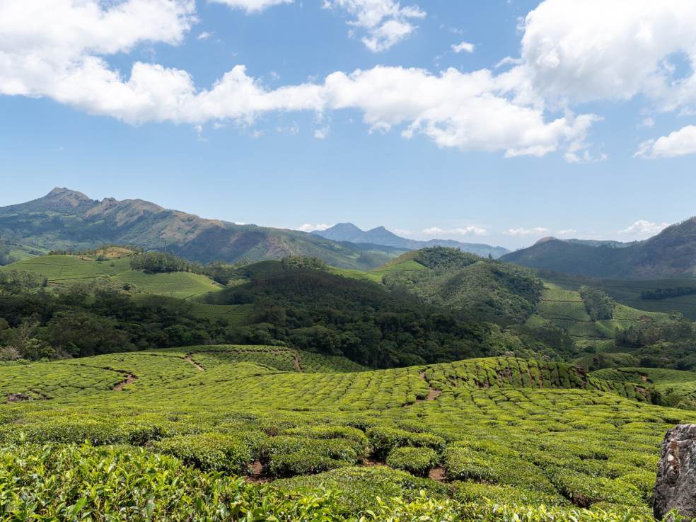 Eravikulam National Park, Munnar