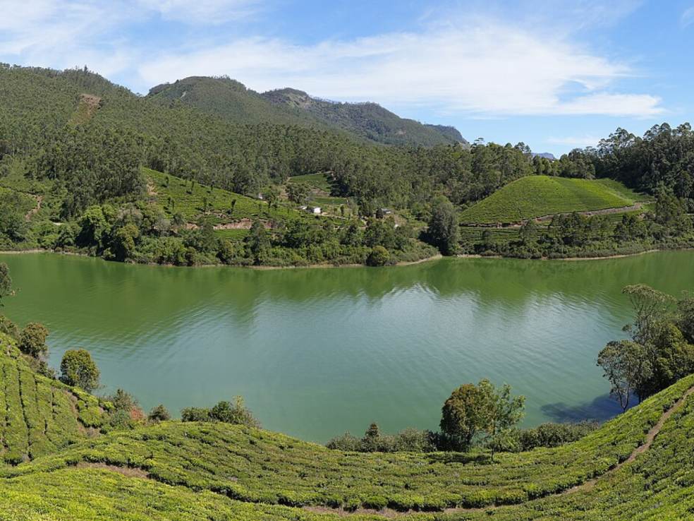 Mattupetty Dam, Munnar