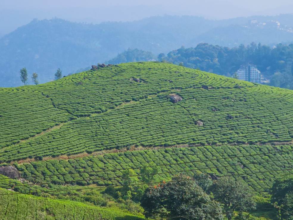 Munnar