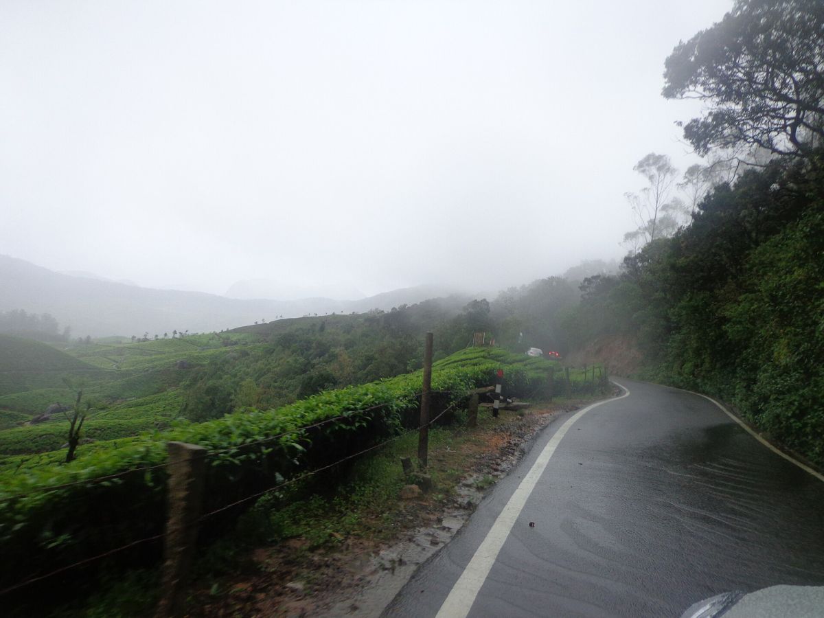 Attukal Waterfalls Munnar, Munnar