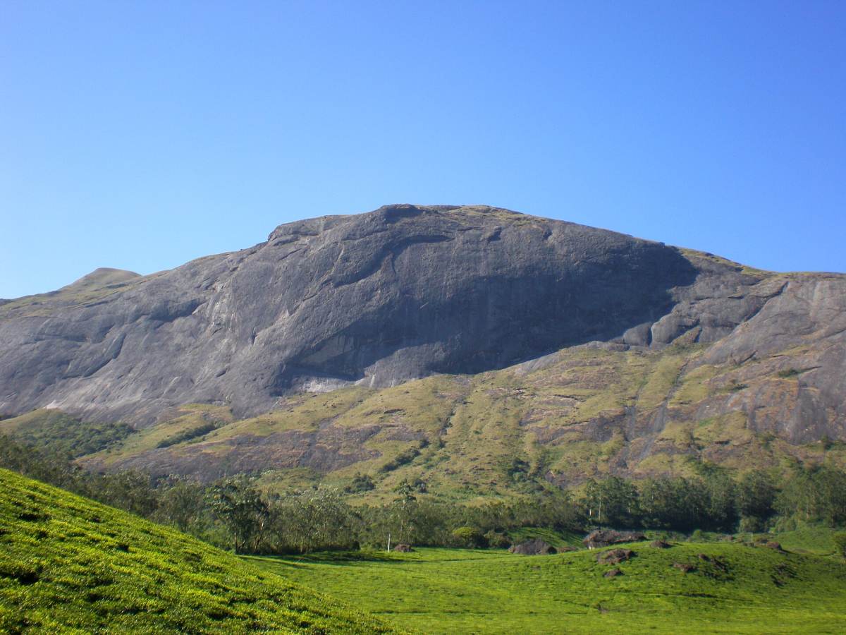 Anamudi, Munnar