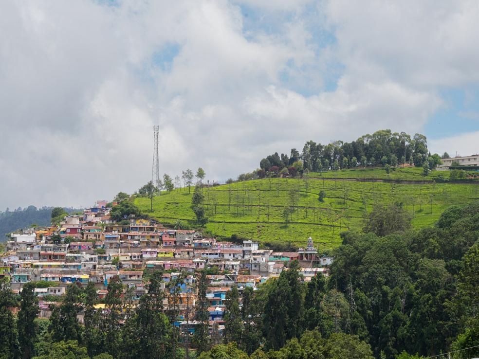 Tea estate Nilgiris, Ooty