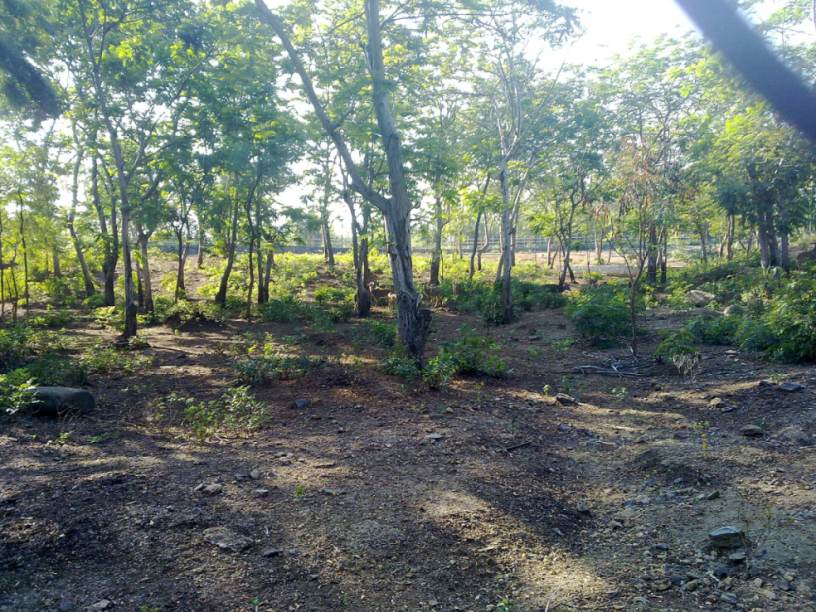 Kurumbapatti Zoological Park, Salem