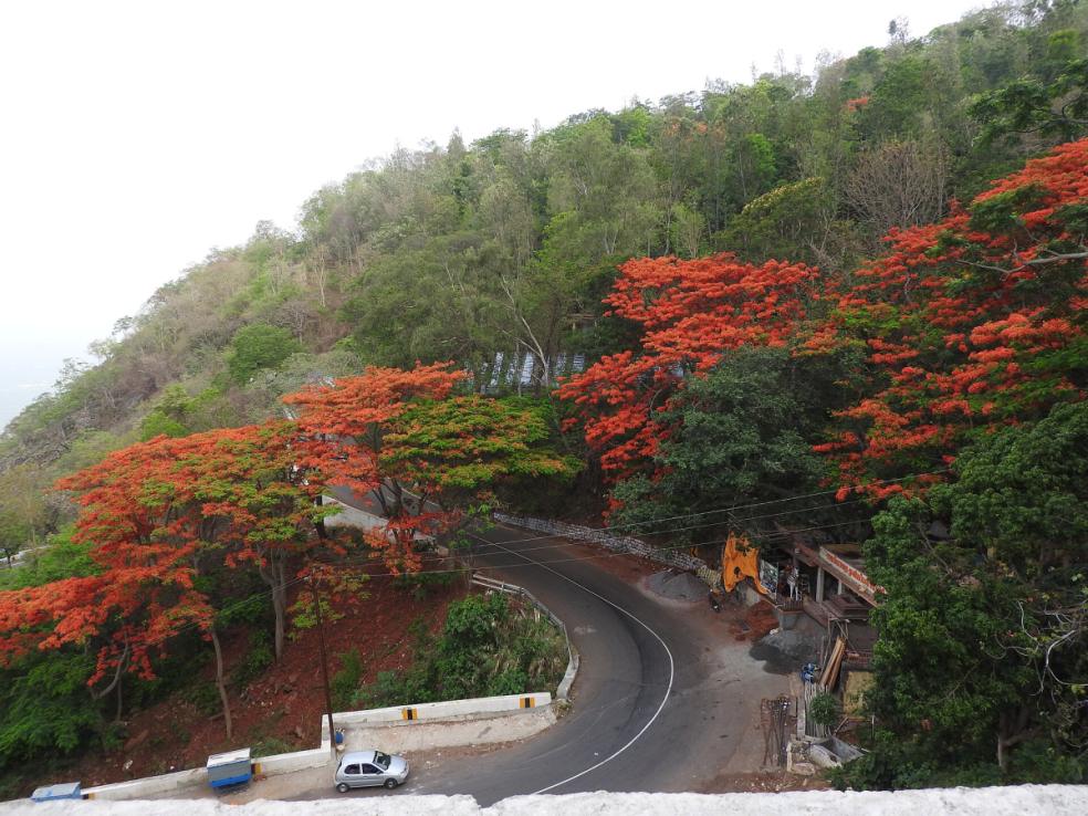 Yercaud Ghat road, Salem