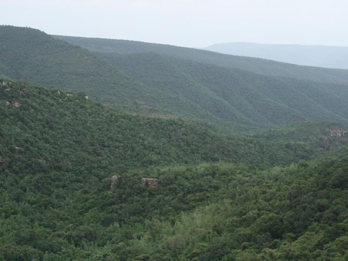 Sri Venkateswara National Park, Tirupati