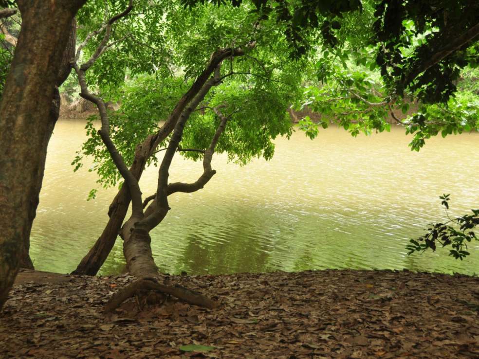 Kuruva Island, Wayanad