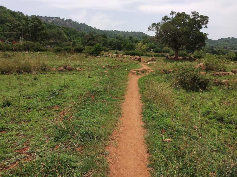 Swamimalai Hills Yelagiri, Yelagiri
