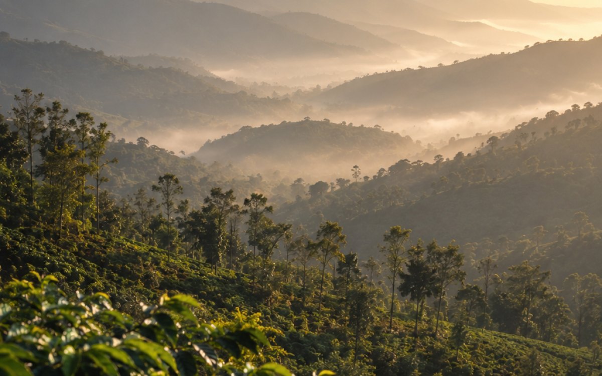 Coorg, a Jain Cabs outstation destination 265 km from Bangalore.